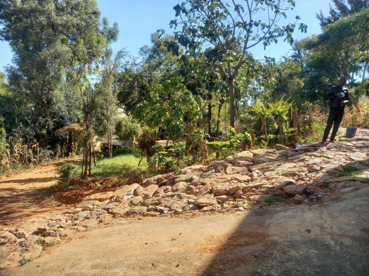 Emmy'S Backpackers Hostel Iringa Extérieur photo